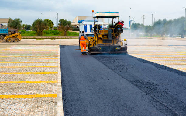 Best Custom Driveway Pavers  in Nocatee, FL